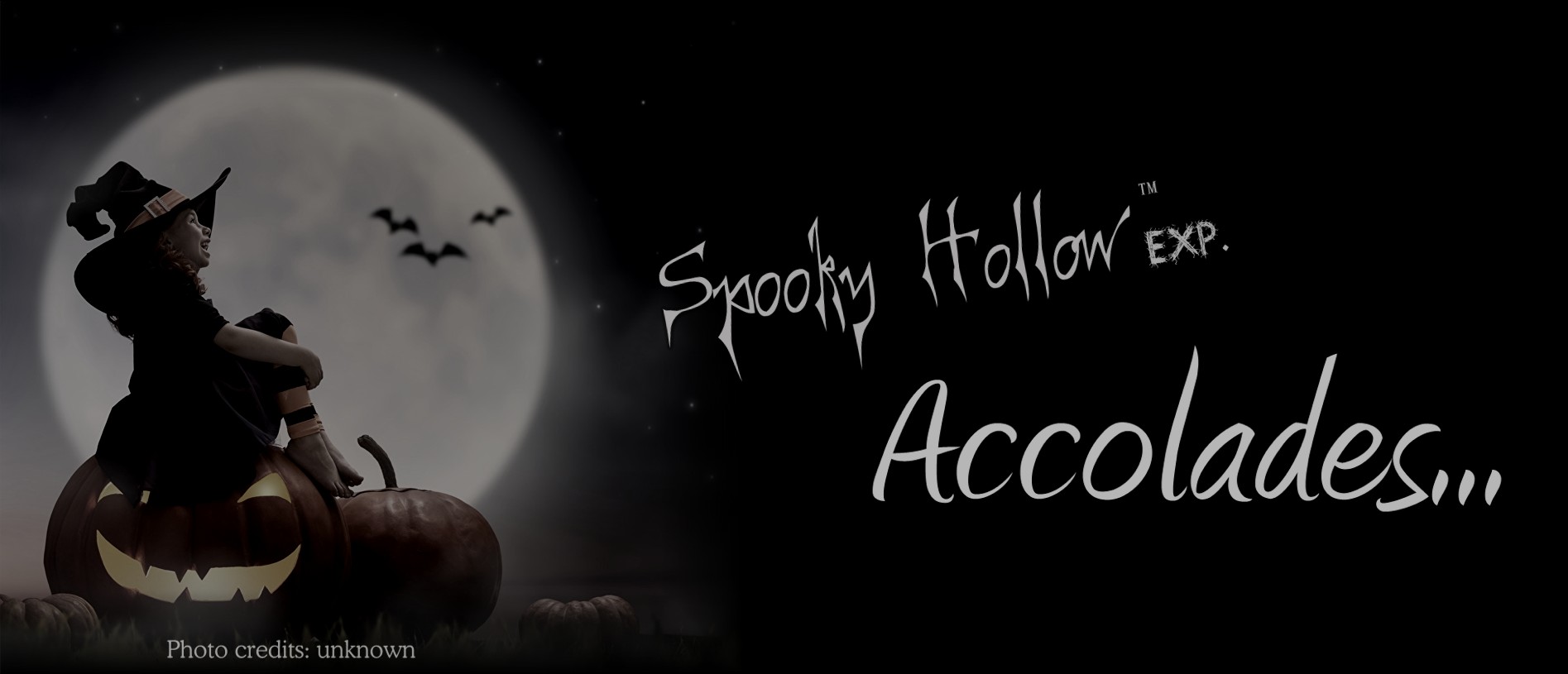 Spooky Hollow Experience official Awards title
